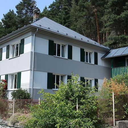 Apartments Michovka Koberovy Eksteriør billede